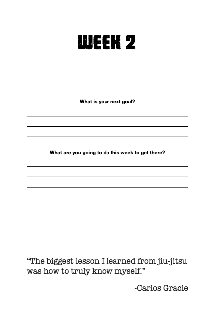 BJJ journal day 1 sample